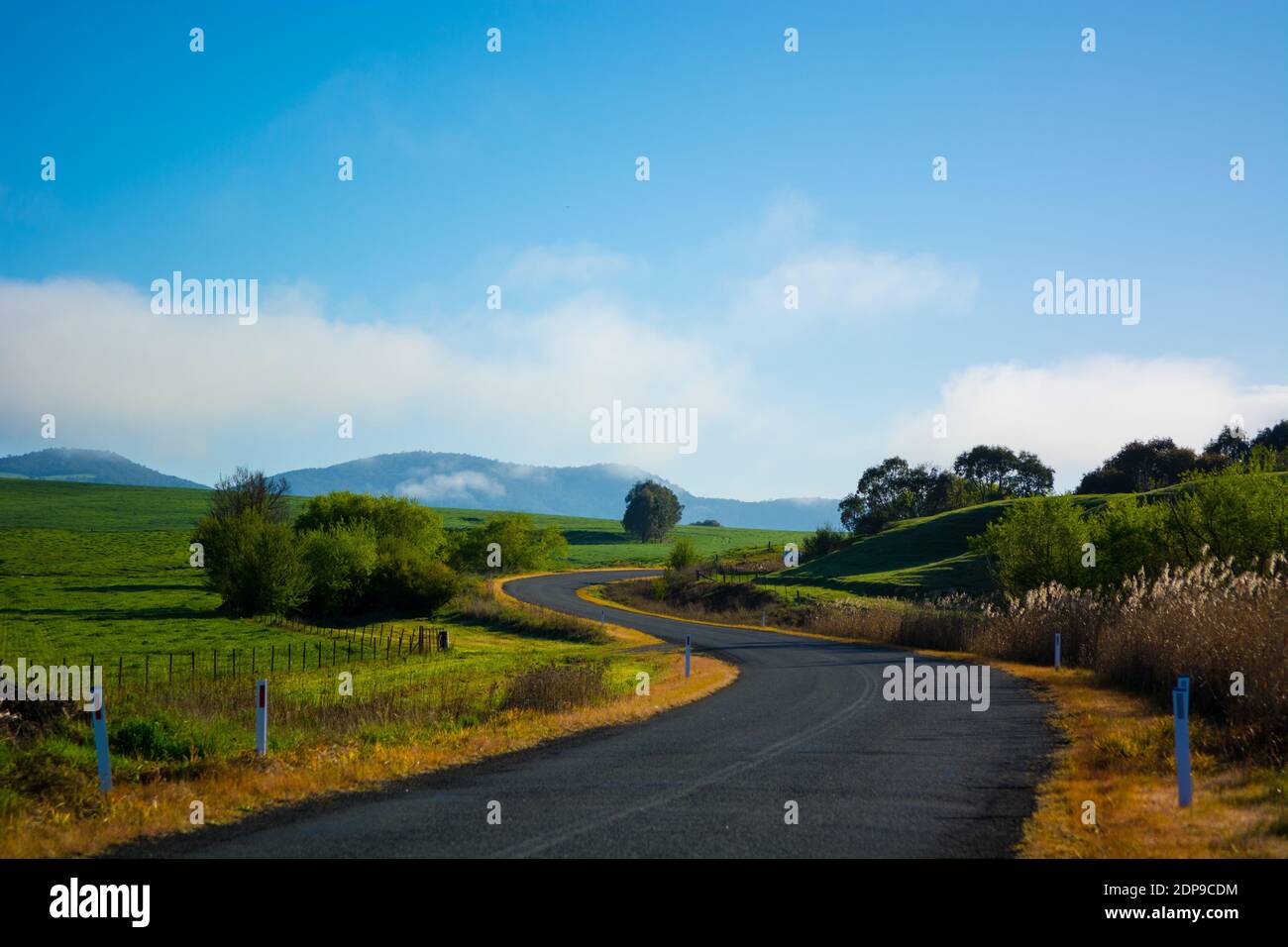Empty Road Along Countryside Landscape Stock Photo