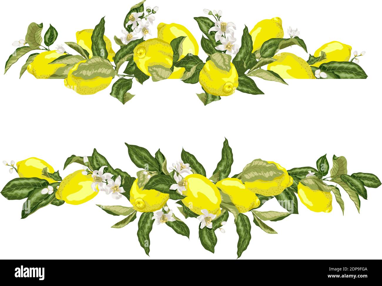 Lime Green Flower Clipart Graphics