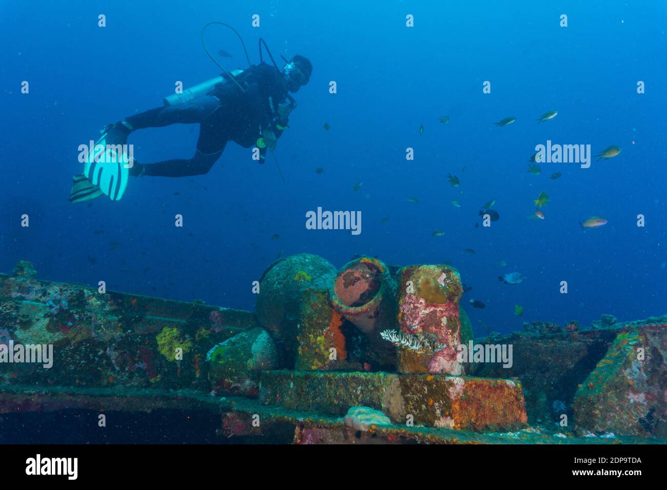 Scuba Diver exploring Kubu Shipwreck in Bali (Indonesia). Stock Photo