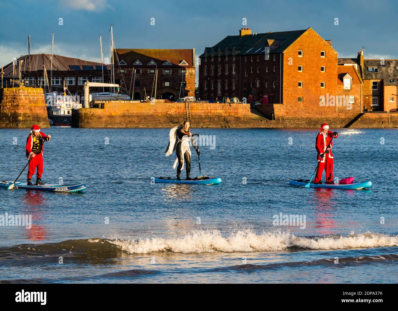 North Berwick, East Lothian, Scotland, United Kingdom, 19th December 2020. Paddle Boarding Santas for charity: a local community initiative by North Berwick News and Views called 'Christmas Cheer' raises over £5,000 funds for families in need. The paddle boarders are dressed in Santa costumes and an angel costume Stock Photo