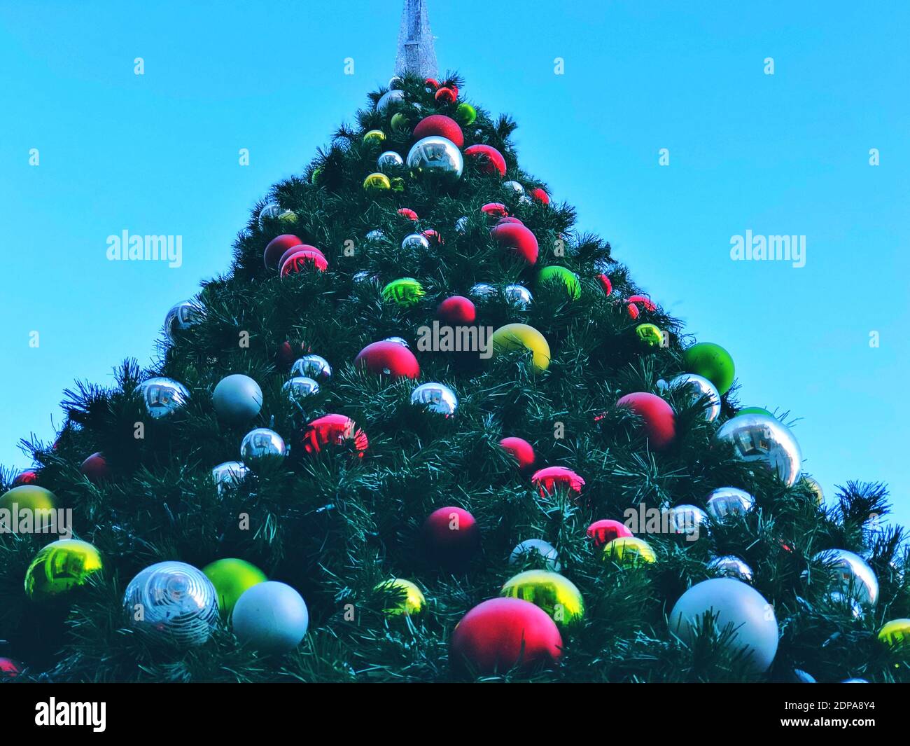 Usarak Isportsman Christmas Tree Cutting 2022 West Covina High Resolution Stock Photography And Images - Alamy