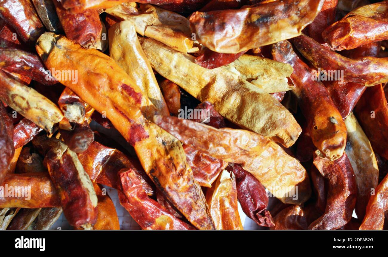 Chili drying on the sun photo capture at Dhaka, Bangladesh. Stock Photo