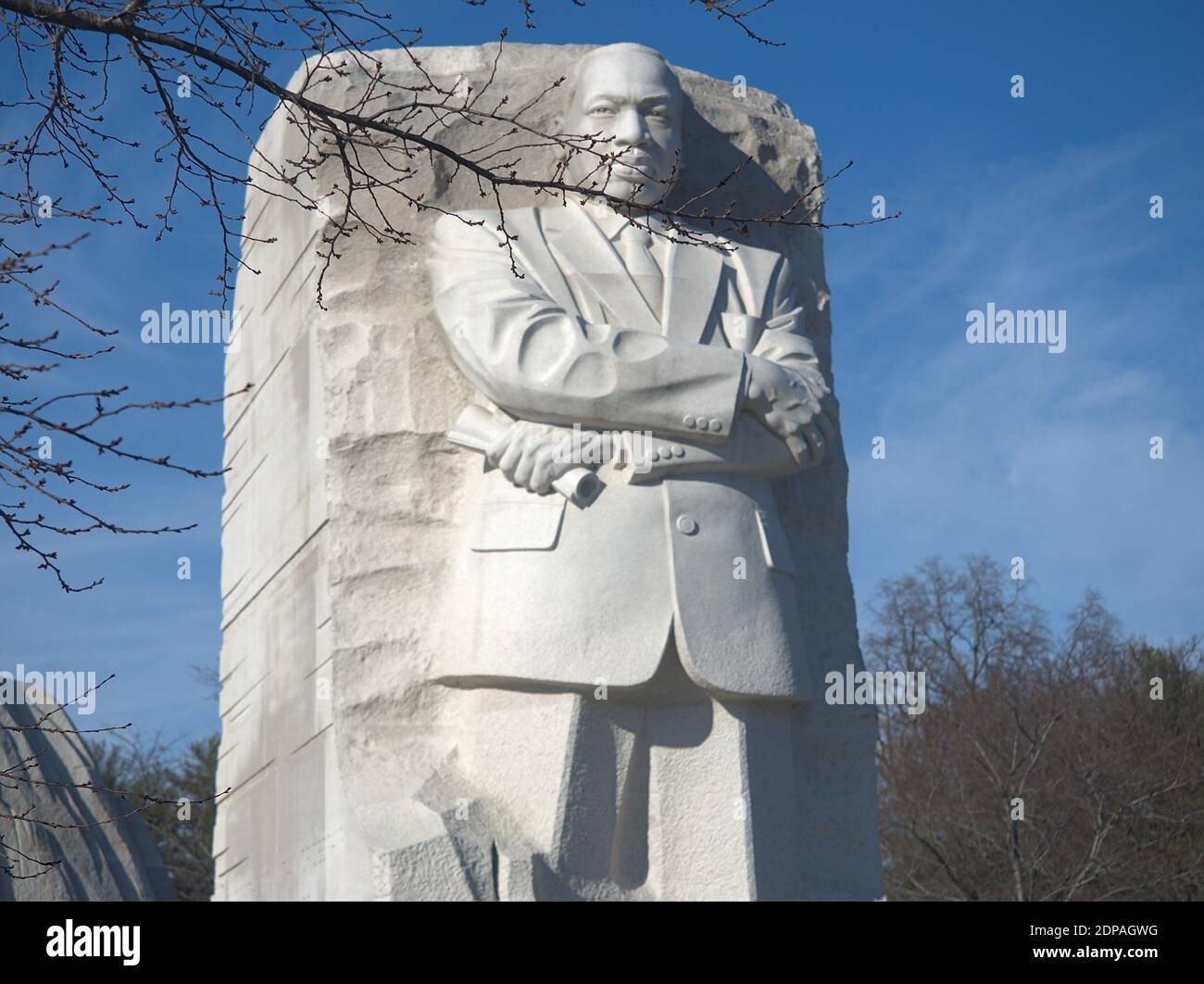 Martin Luther King Jr Memorial in Washington DC face framed by tree ...