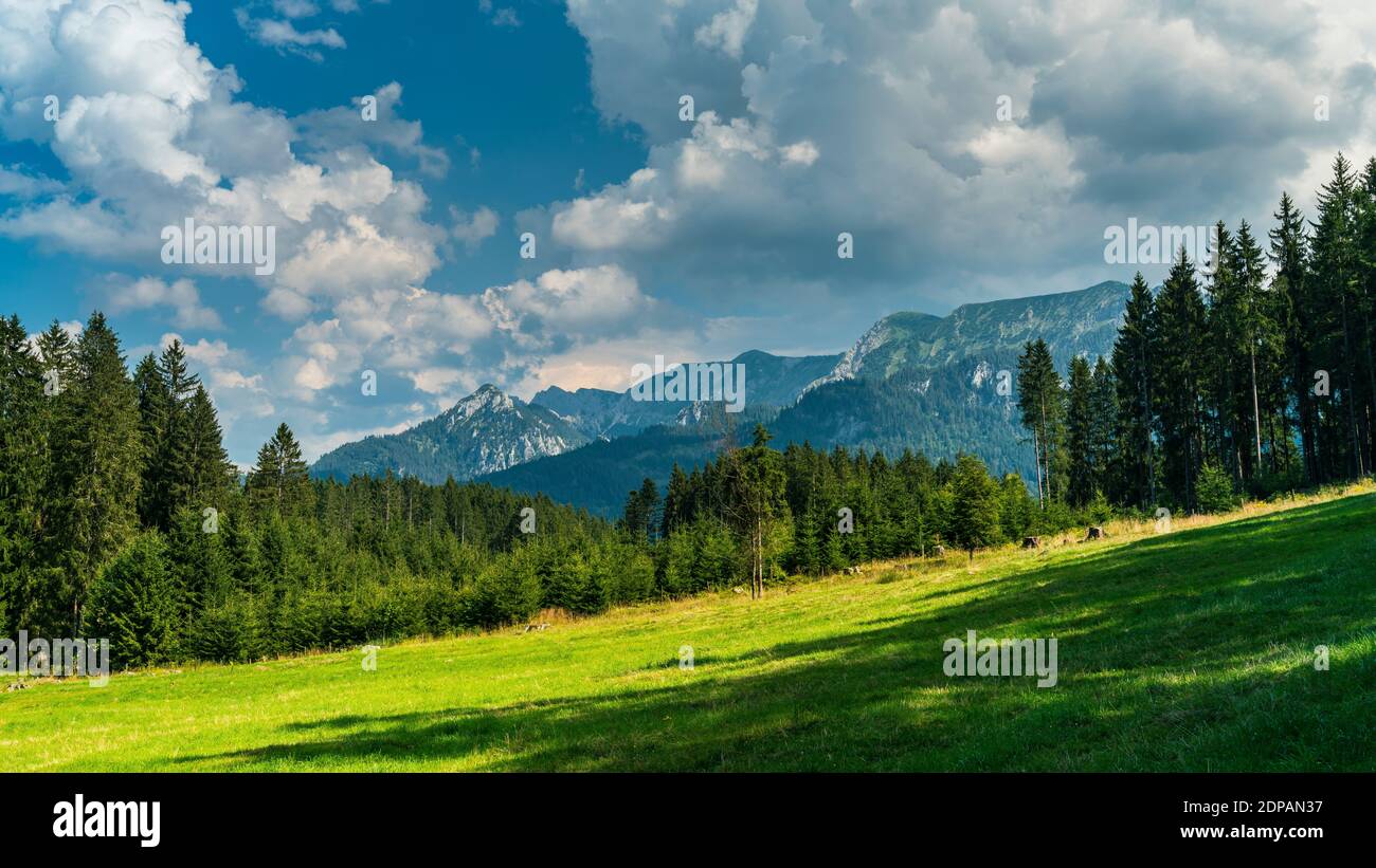 Germany, Allgaeu, Dark clouds and dramatic sky above peaks of alps mountains and green trees in summer on sunny day Stock Photo