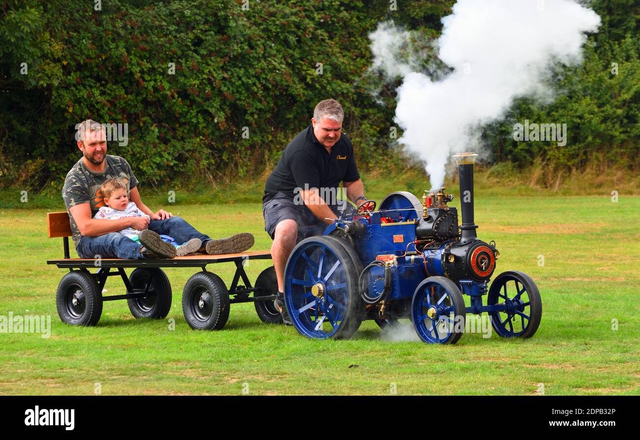 Miniature Steam Traction engine giving rides across field Stock Photo