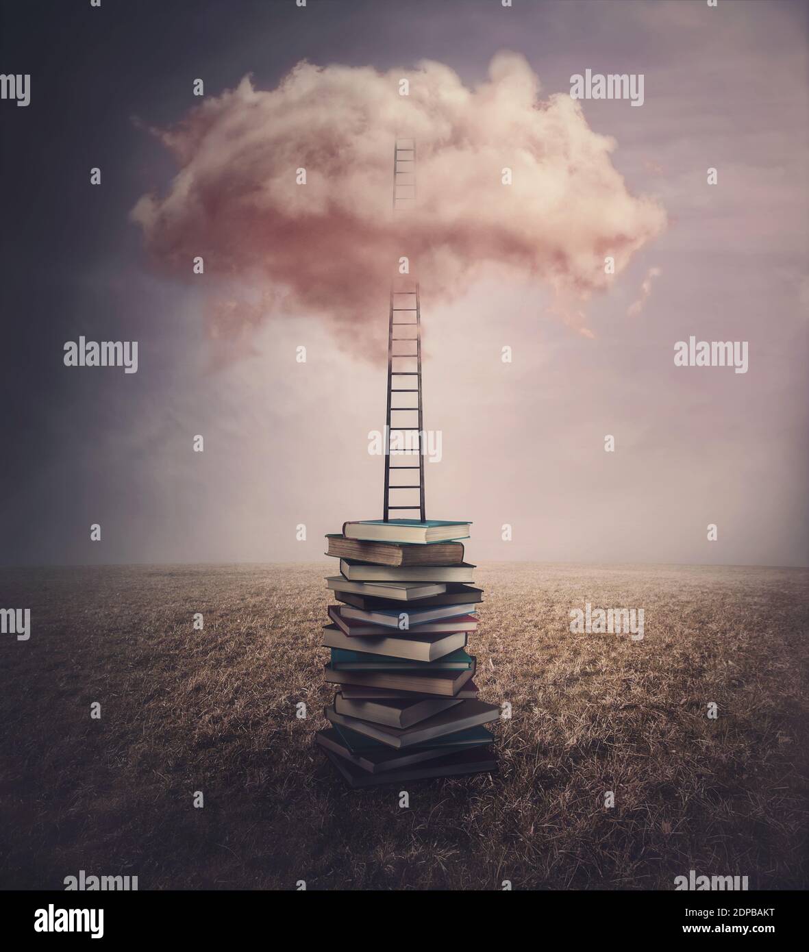 Surreal landscape, conceptual scene with a books pile in the middle of an open meadow, and a ladder or stairway leading up to a pink cloud in the sky. Stock Photo