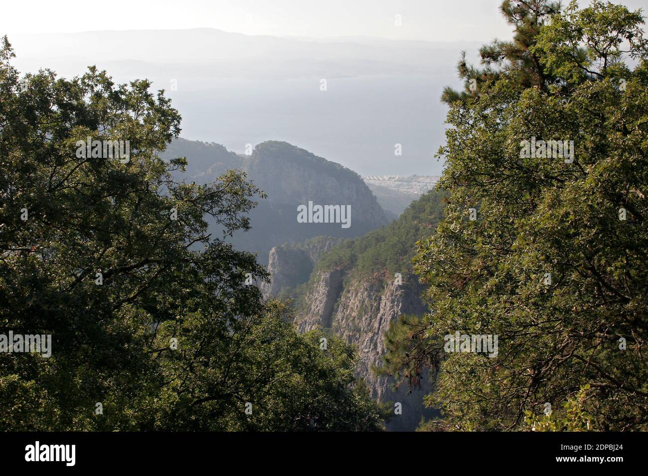 Stream Ida Mountain Turkish Kazdagi Meaning Stock Photo 1067484575