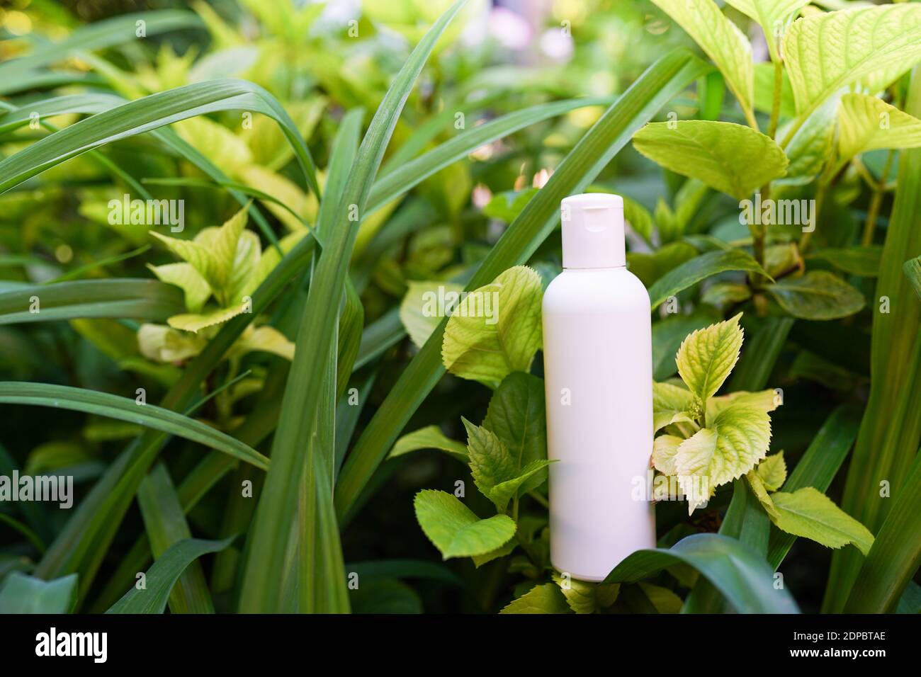Clean body lotion bottle on green nature background Stock Photo Alamy
