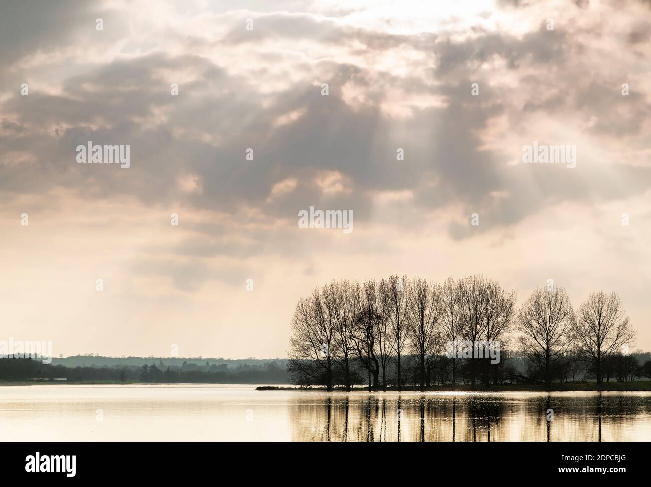 An image of  backlit trees on a spring day from Rutland Water, Rutland, England, UK. Stock Photo