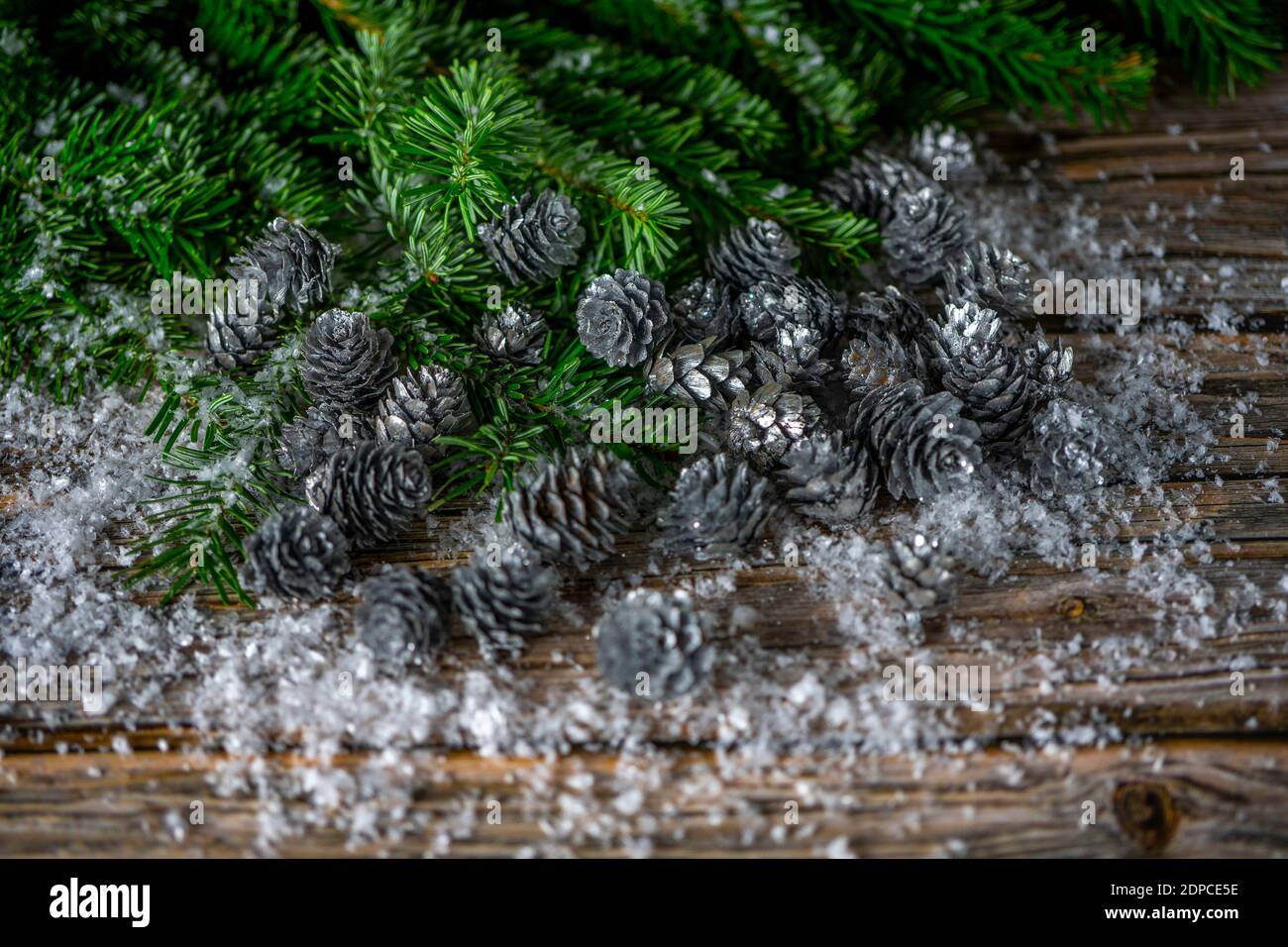 Fir tree branches and silver painted pine cones on a wooden snow ...