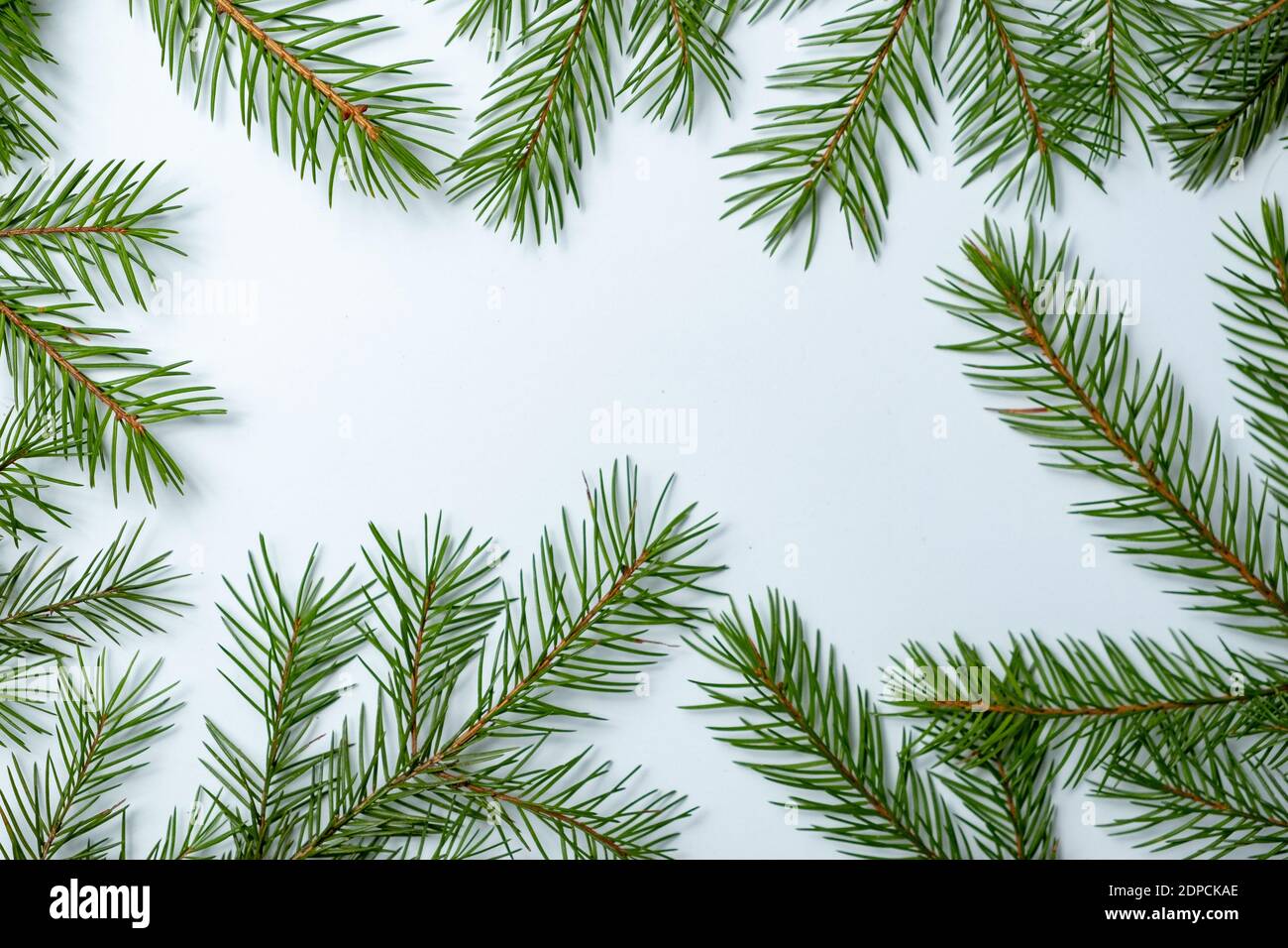 Simple Christmas and New Year background with green spruce branches ...