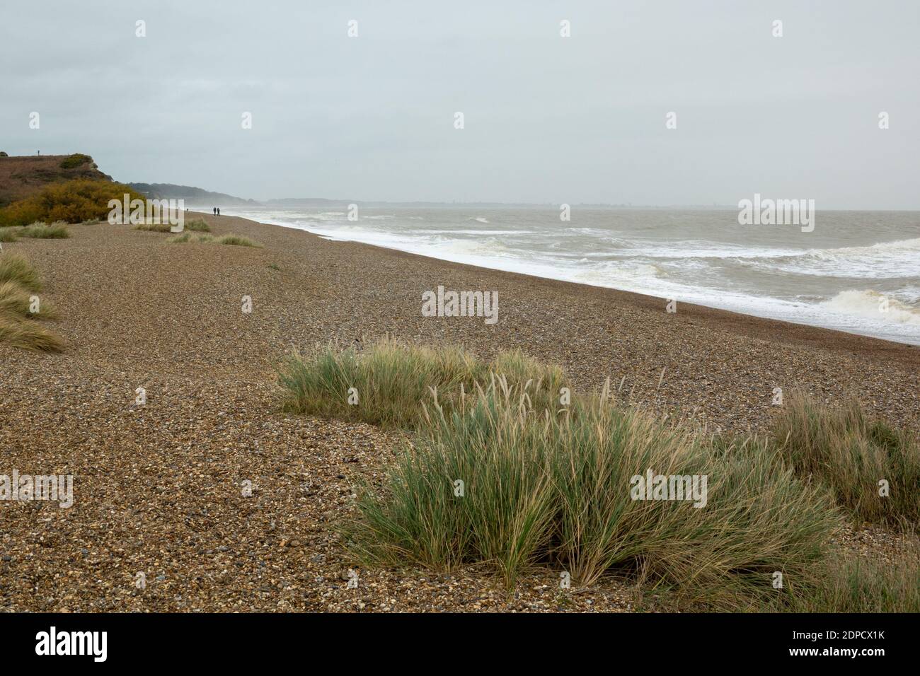 Marram grass shigle beach Minsmere beach Dunwich Stock Photo