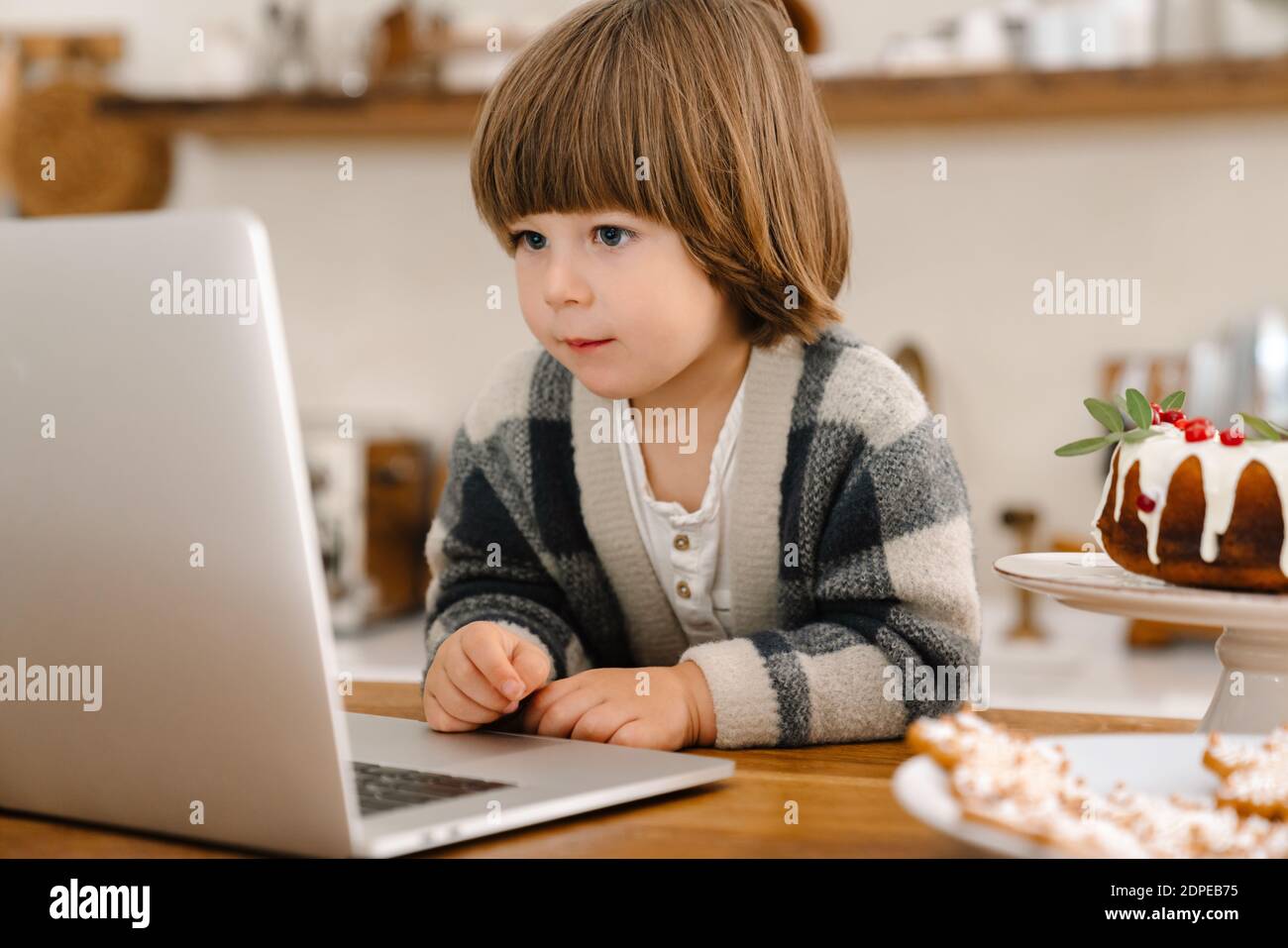 Focused beautiful boy using laptop while sitting at home kitchen Stock Photo
