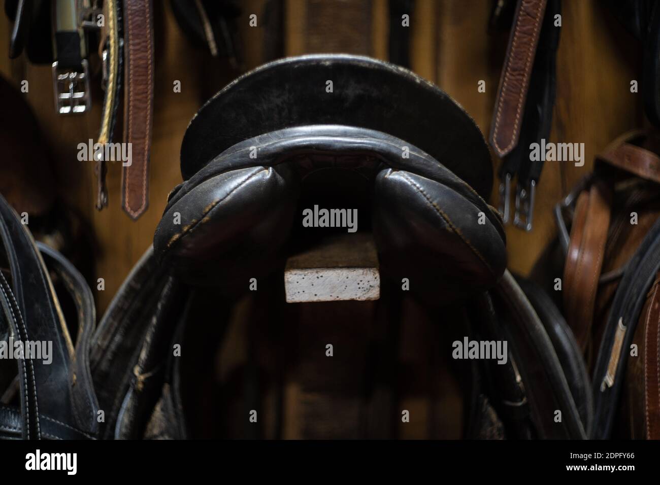 horse leather saddle hanging on a wooden wall Stock Photo Alamy