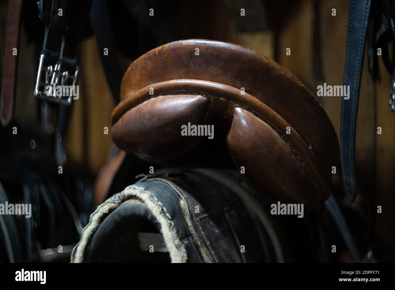 horse leather saddle hanging on a wooden wall Stock Photo Alamy