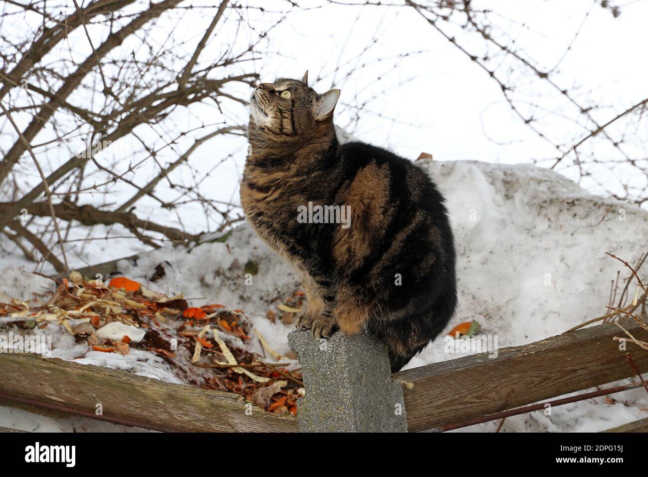 Food waste mountain hi-res stock photography and images - Alamy