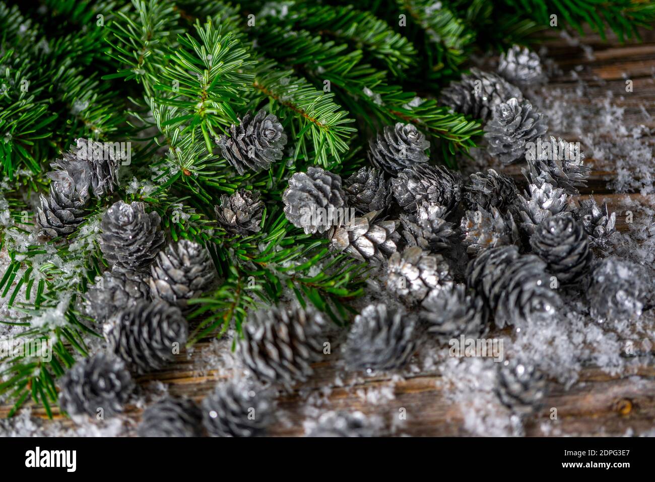 Fir tree branches and silver painted pine cones on a wooden snow ...