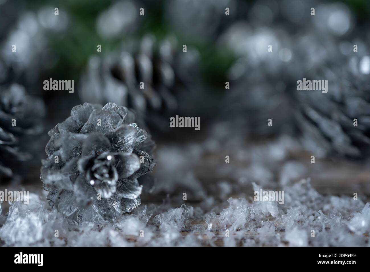 Fir tree branches and silver painted pine cones on a wooden snow ...