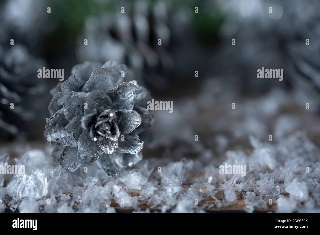Fir tree branches and silver painted pine cones on a wooden snow ...