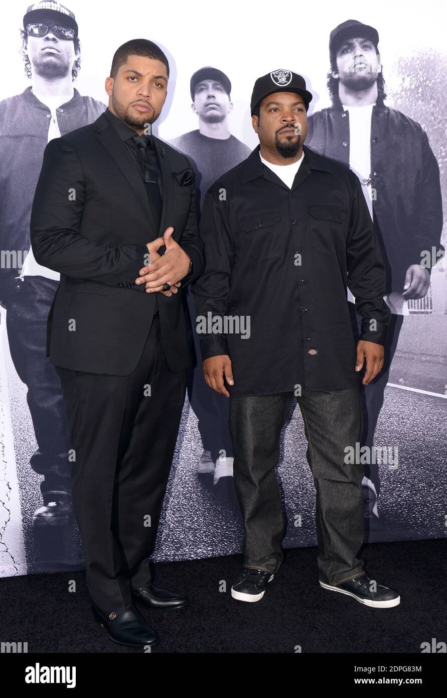 Ice cubes son 2022