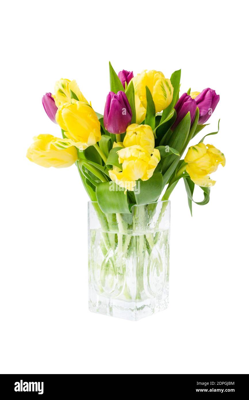 Bouquet of yellow tulips in vase, isolated over white background Stock ...
