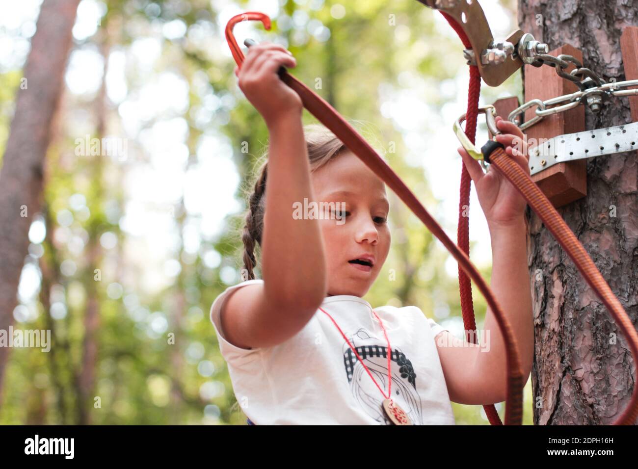 Attaching Harness Hi Res Stock Photography And Images Alamy