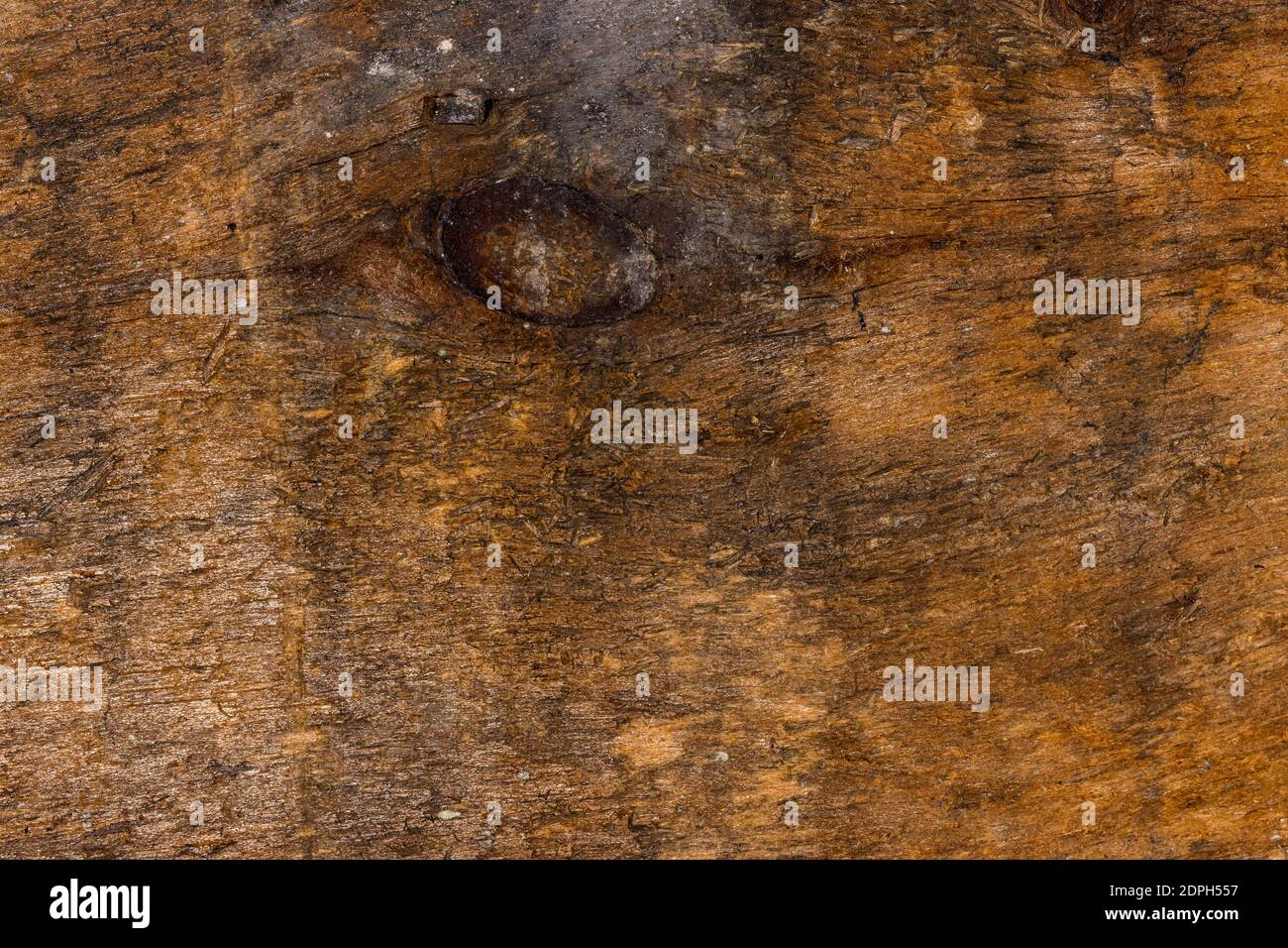 Wood knot with hole hires stock photography and images Alamy
