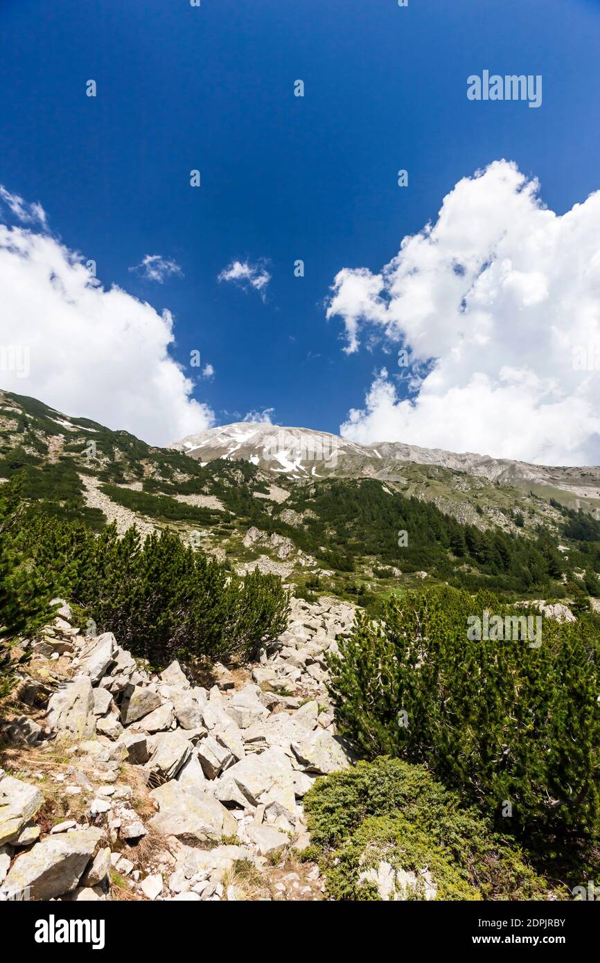 Pirin National Park, Vihren mountains with dwarf pine, near Vihren Chalet, suburb of Bansko, Blagoevgrad Province, Bulgaria, Southeast Europe, Europe Stock Photo