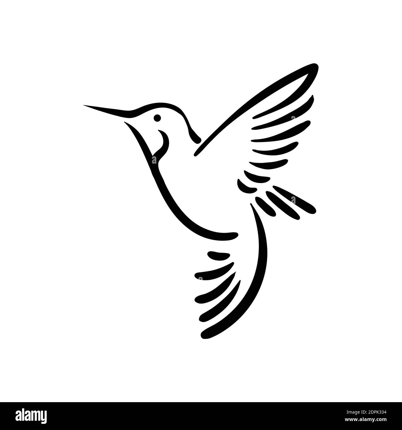 Colibri hummingbird flying bird line style logo illustration Stock ...