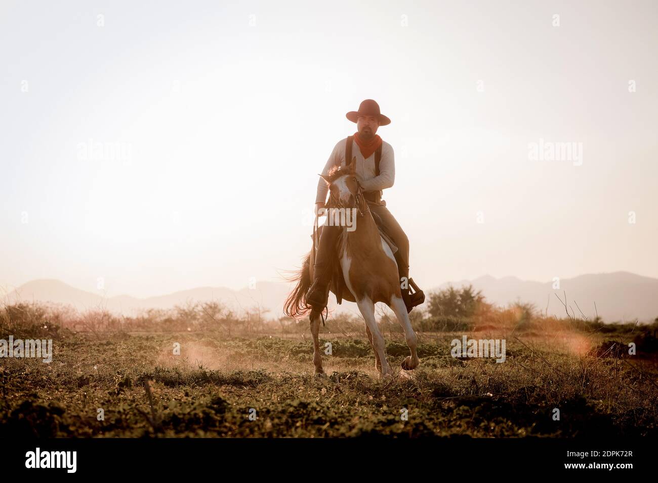 Cowboy riding horse gun hires stock photography and images Alamy
