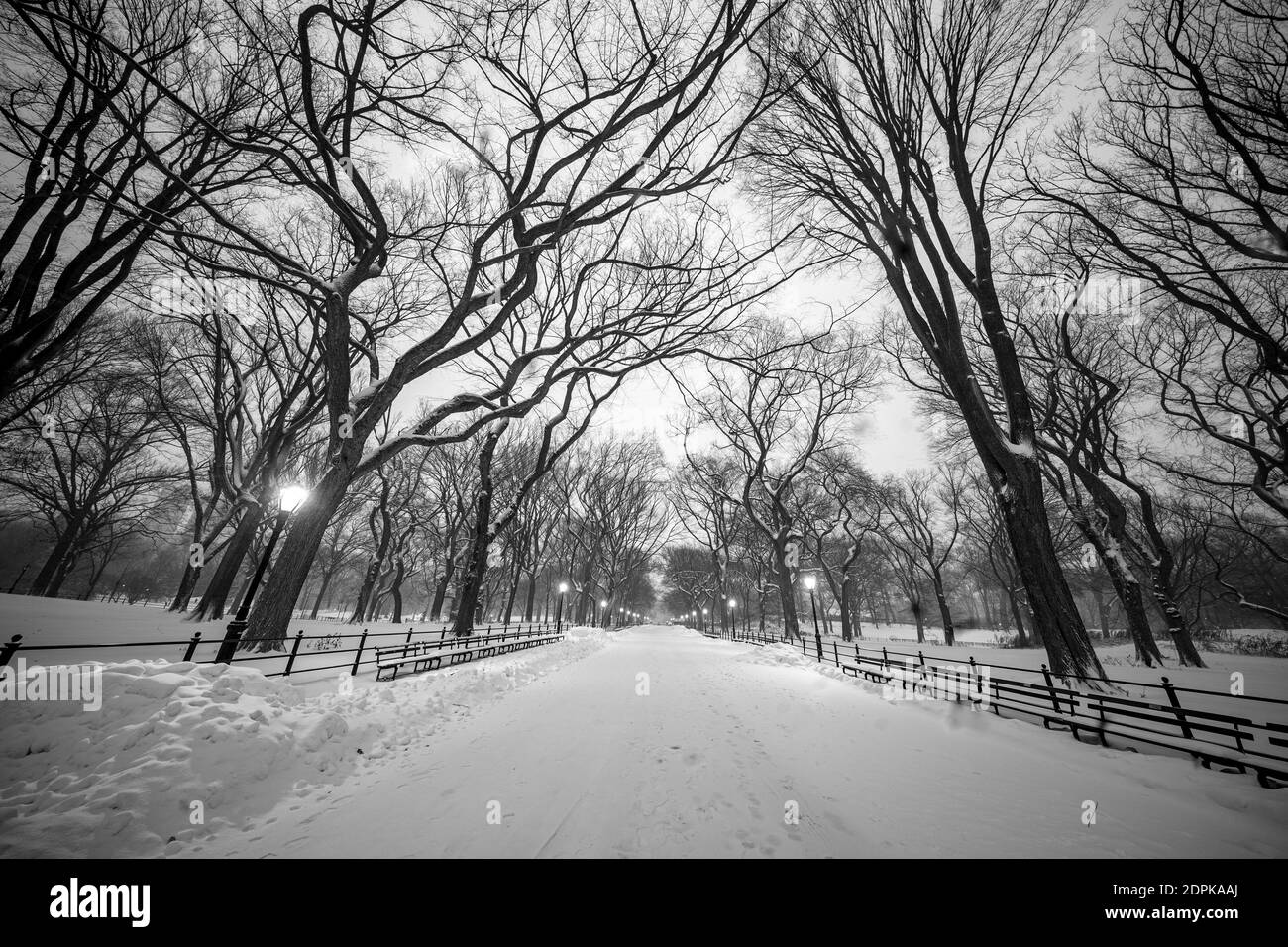 Trees and the Mall are covered in snow in Central Park, New York City Stock Photo