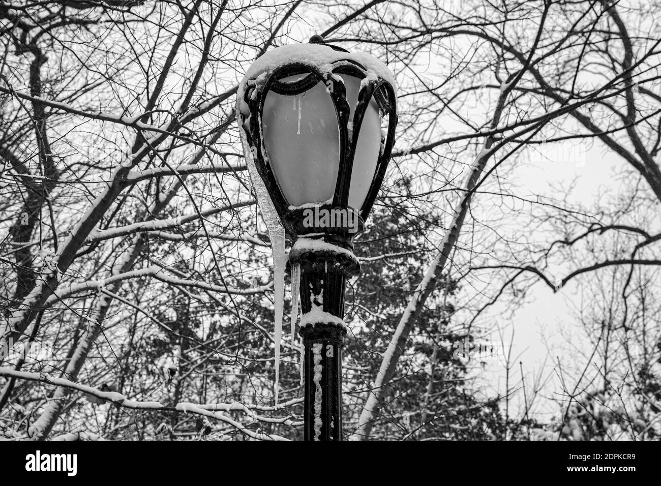 Icicles hand from a lamp post in Central Park, New York City Stock Photo