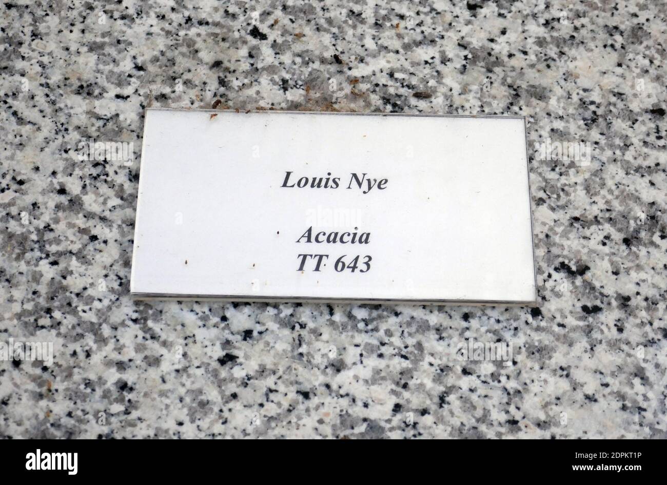 Culver City, California, USA 18th December 2020 A general view of atmosphere of actor Louis Nye's Grave at Hillside Memorial Park on December 18, 2020 in Culver City, California, USA. Photo by Barry King/Alamy Stock Photo Stock Photo