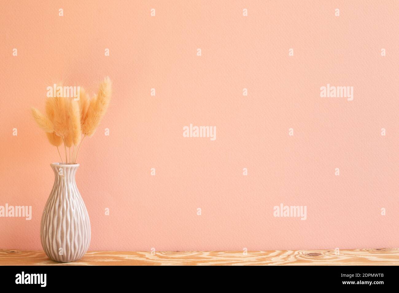 Vase of pink hares tail grass (Lagurus ovatus) dry flowers on wooden table. pink background Stock Photo