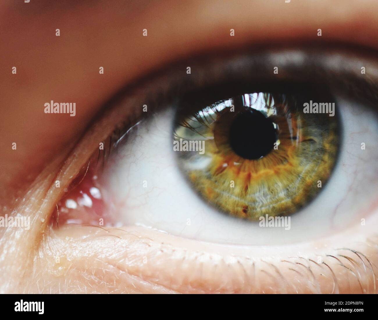 Extreme close up hazel eyes hi-res stock photography and images - Alamy