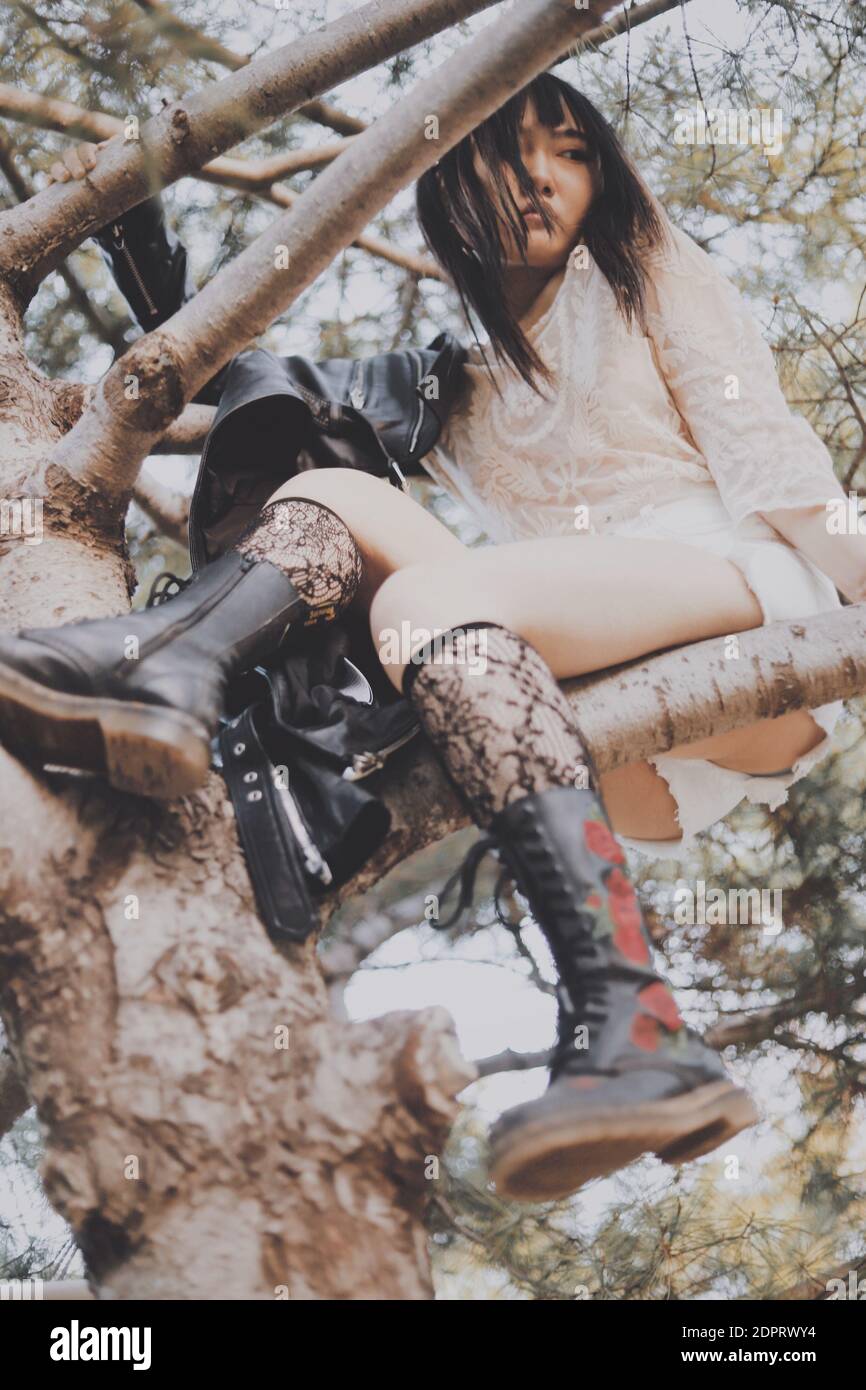 Low Angle View Of Young Woman Looking Down While Sitting On Tree Stock Photo