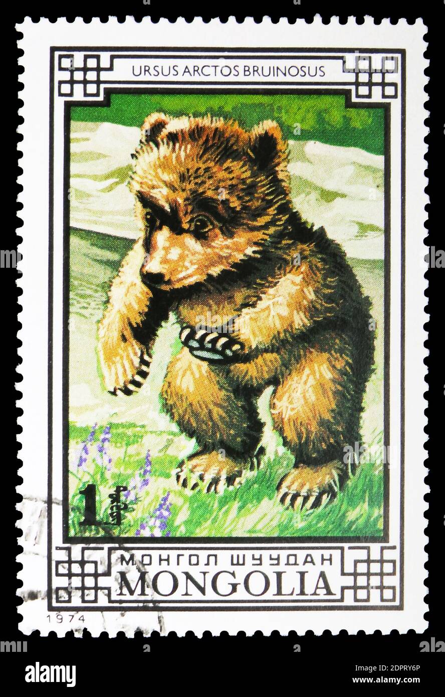 MOSCOW, RUSSIA - SEPTEMBER 26, 2018: A stamp printed in Mongolia shows Tibetan Blue Bear (Ursus arctos pruinosus), Bears serie, circa 1974 Stock Photo