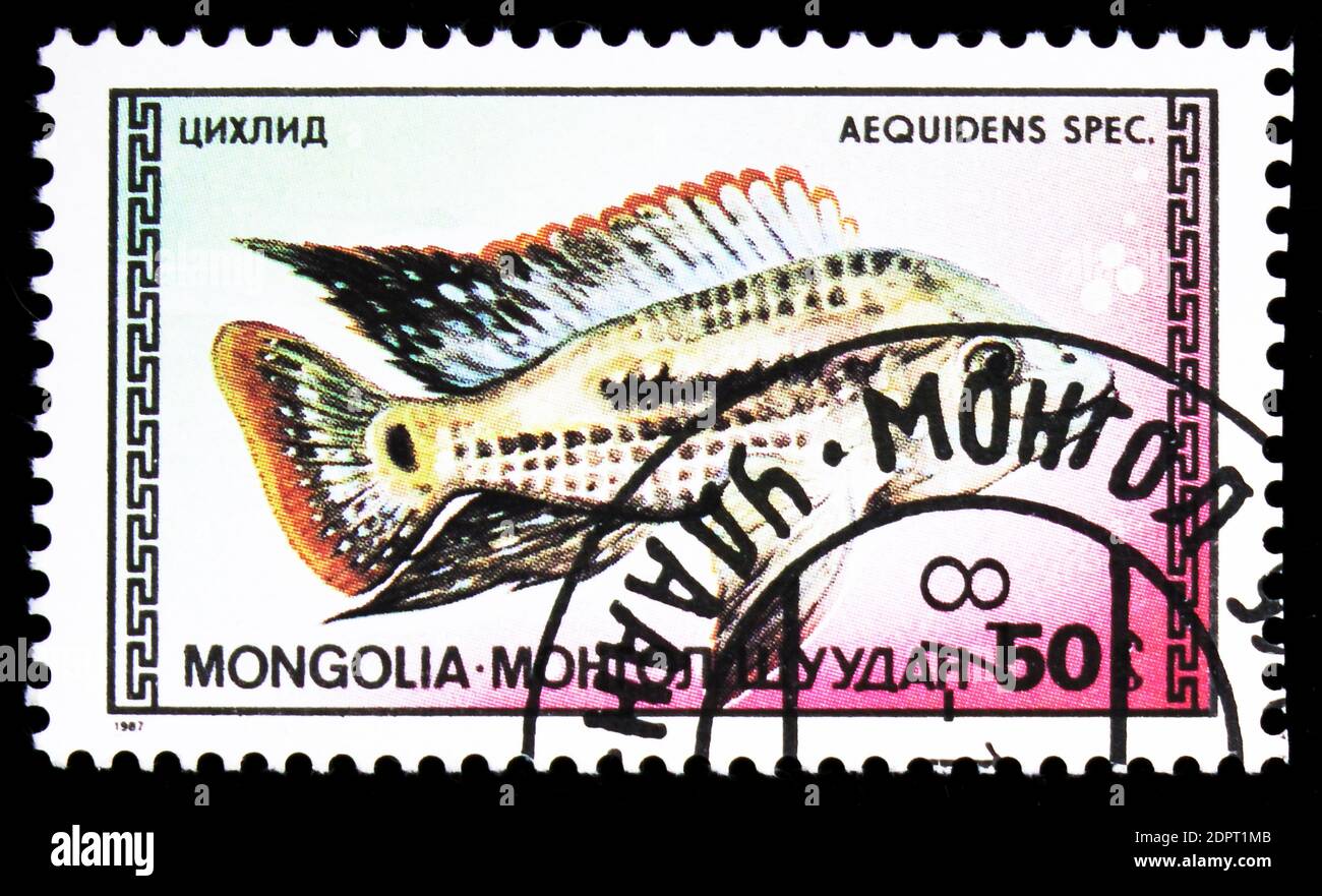 MOSCOW, RUSSIA - SEPTEMBER 26, 2018: A stamp printed in Mongolia shows Cichlid (Aequidens sp.), Tropical Fish serie, circa 1987 Stock Photo