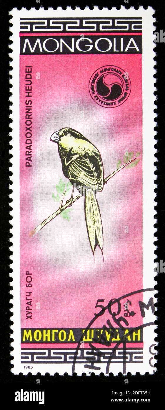 MOSCOW, RUSSIA - SEPTEMBER 26, 2018: A stamp printed in Mongolia shows Reed Parrotbill (Paradoxornis heudei), Birds serie, circa 1985 Stock Photo