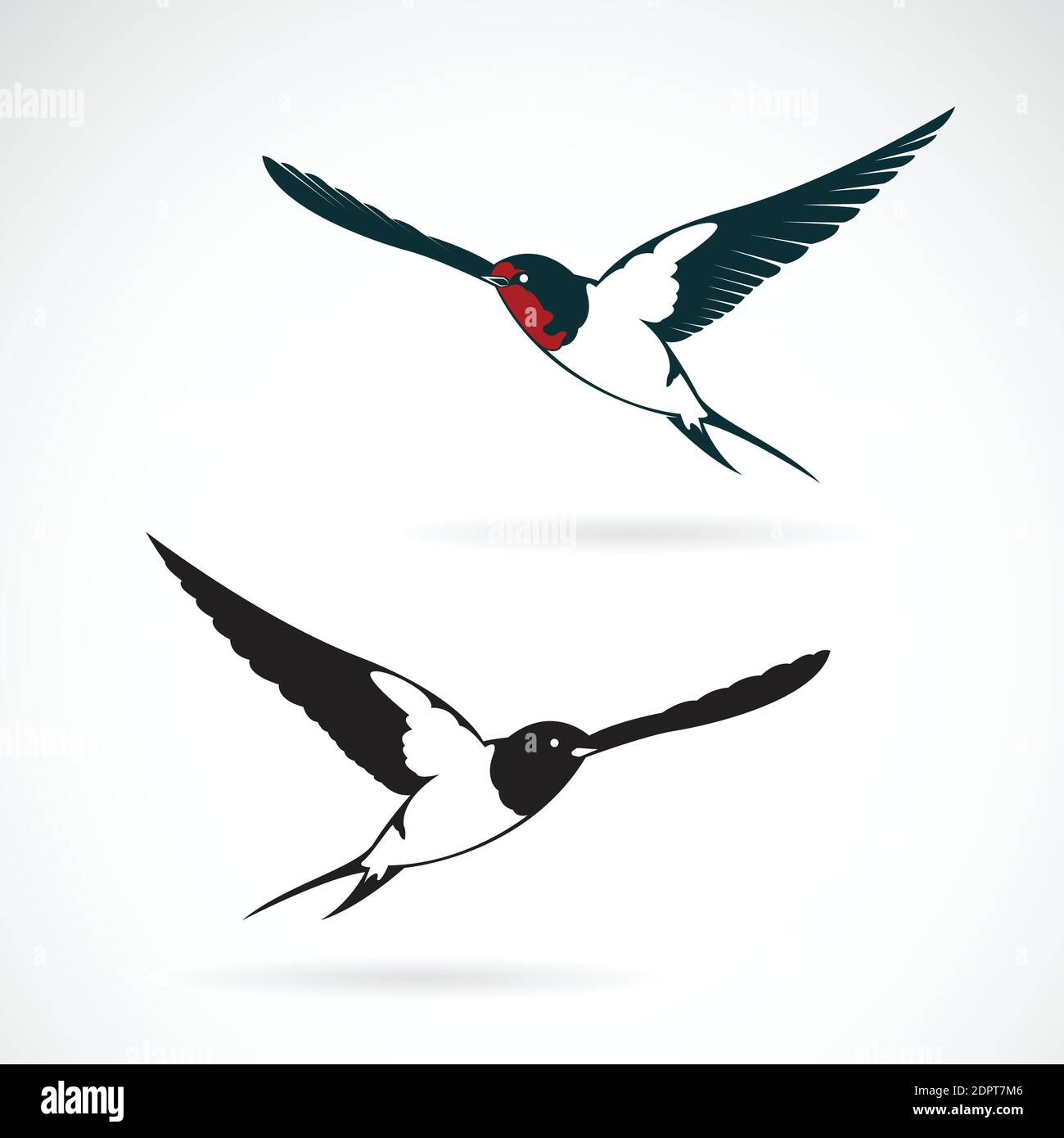 Vector of bird swallows design on white background., Bird Icon., Wild Animals. Easy editable layered vector illustration. Stock Vector