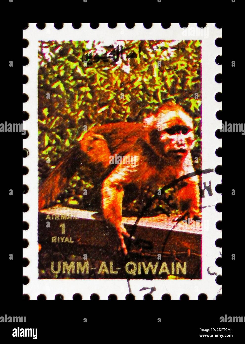 MOSCOW, RUSSIA - NOVEMBER 10, 2018: A stamp printed in Umm Al Quwain shows Titi (Callicebinae), Animals; large format serie, circa 1972 Stock Photo