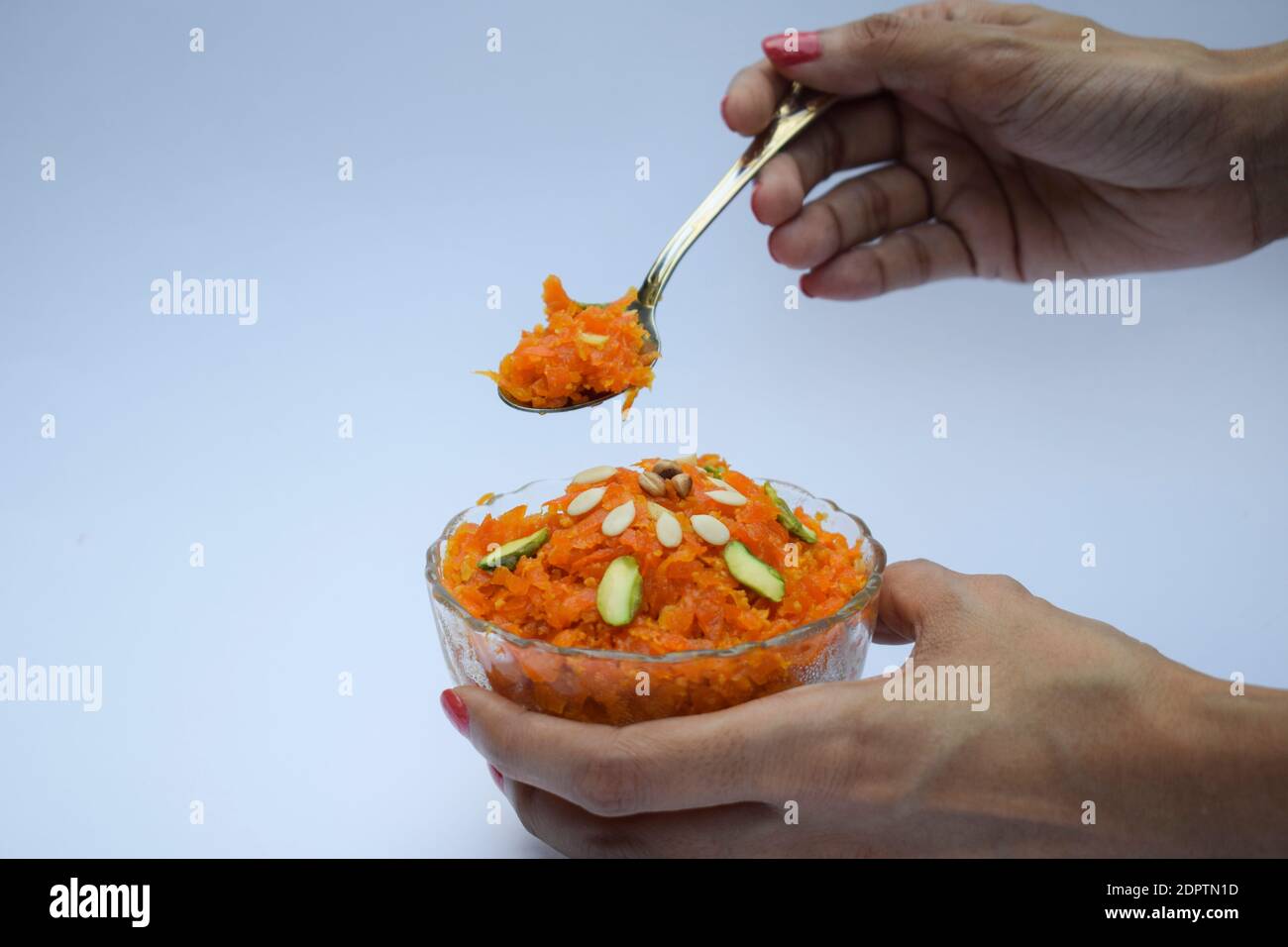 Indian sweet dish dessert cuisine Gajar ka halwa served in bowl with