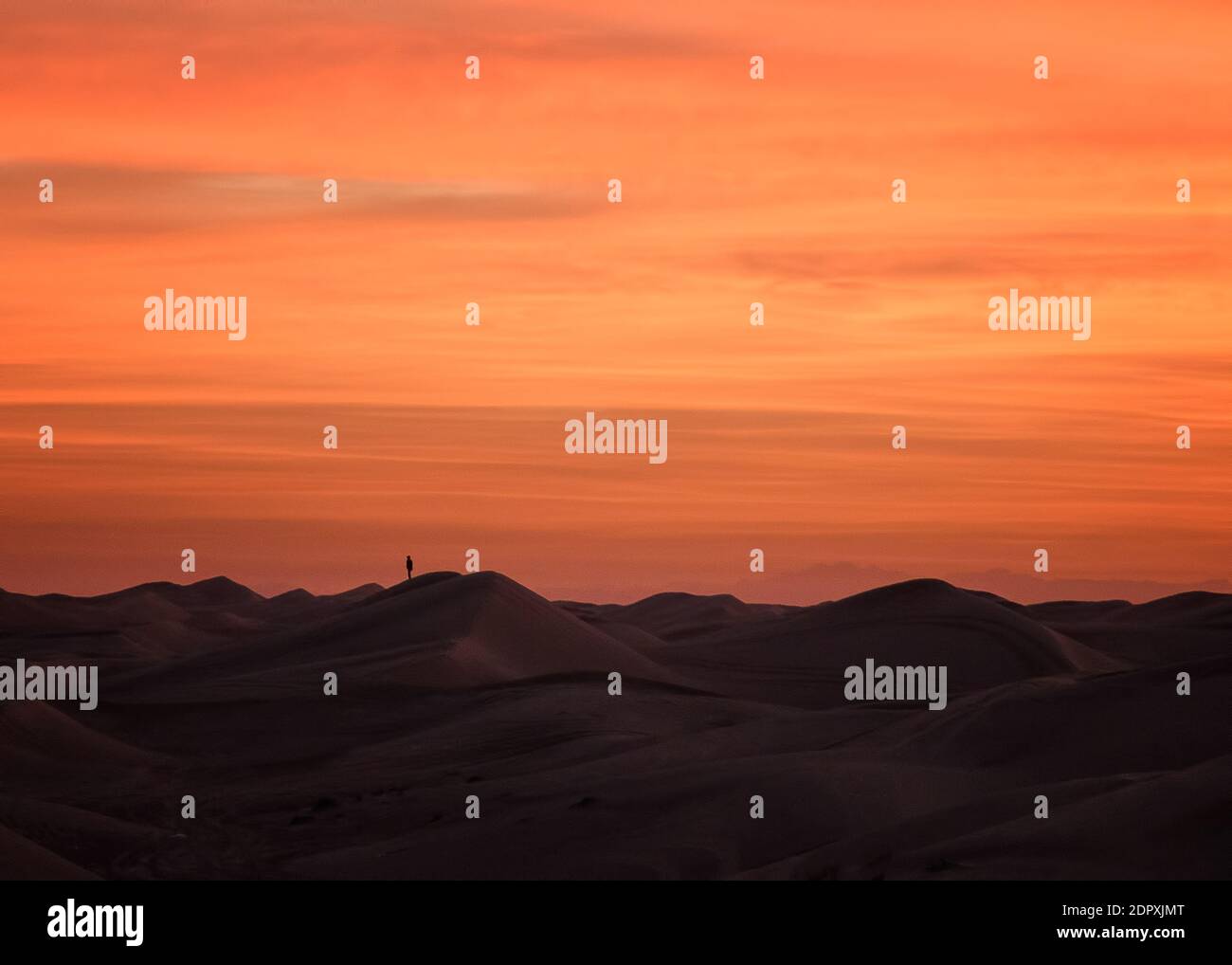 Dune morning glory hi-res stock photography and images - Alamy
