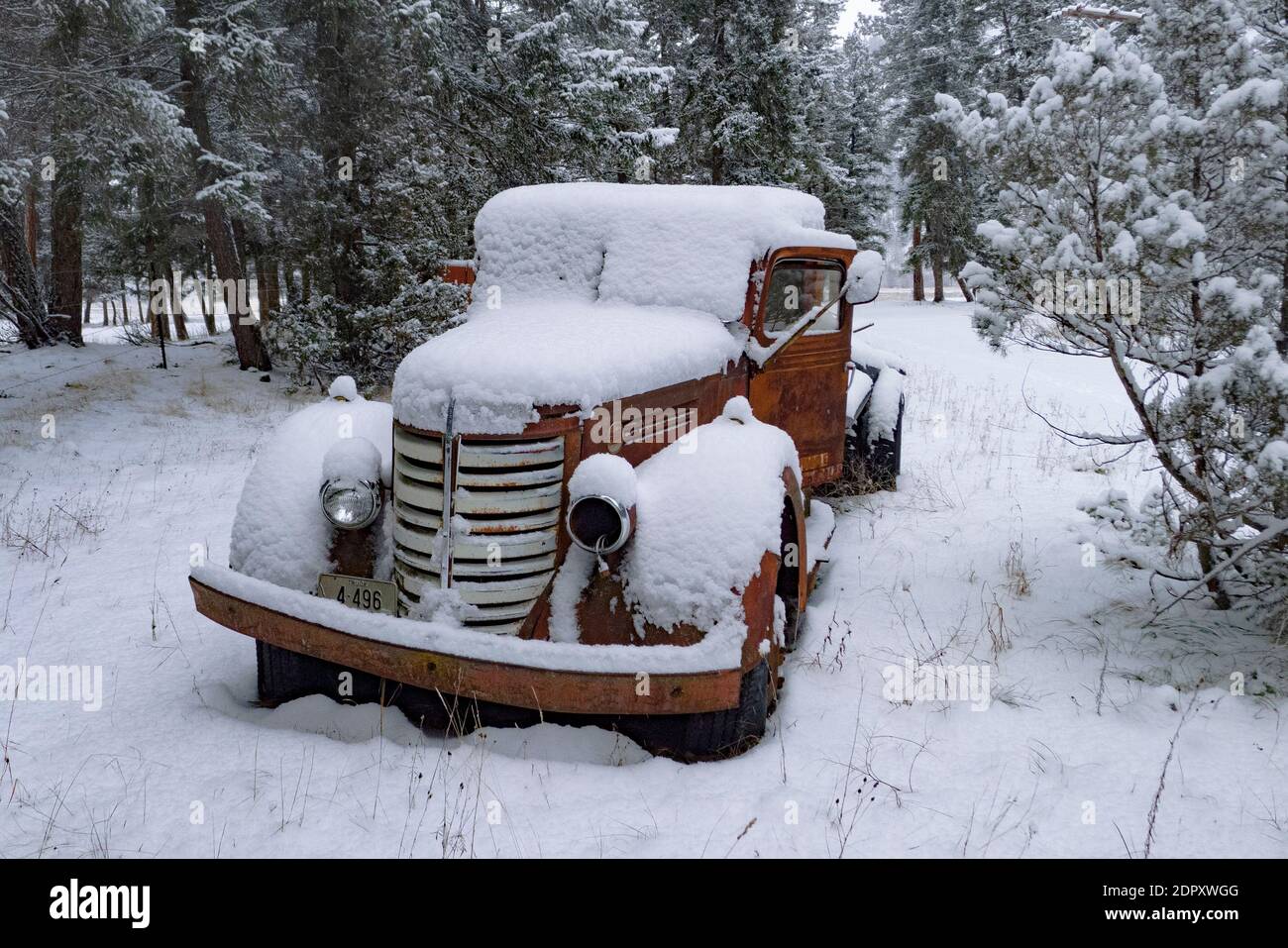 A rusted out 1939 Federal farm truck in the snow, on a farm in Valley of the Moon, Rock Creek, Montana. Stock Photo