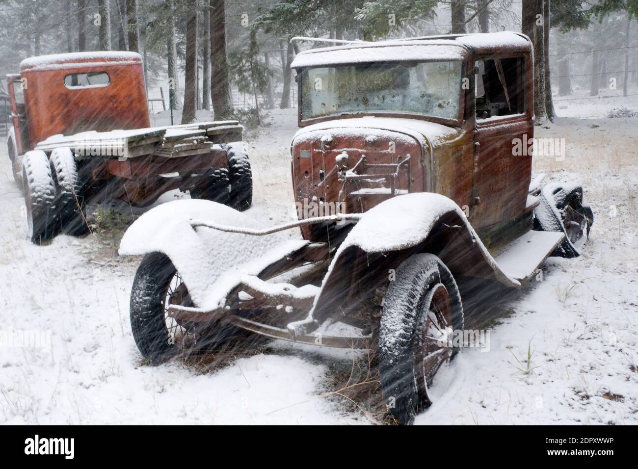 A rusty 1932 Model B Ford farm truck in a snow storm, on a horse ranch in Valley of the Moon, Rock Creek, Montana. Stock Photo
