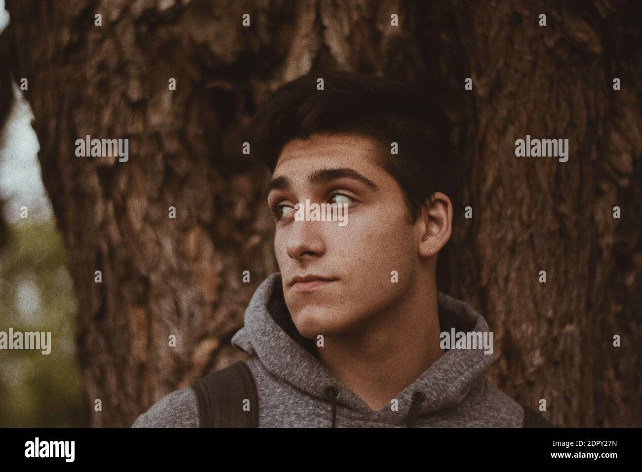 Young Man Looking Away By Trees Stock Photo