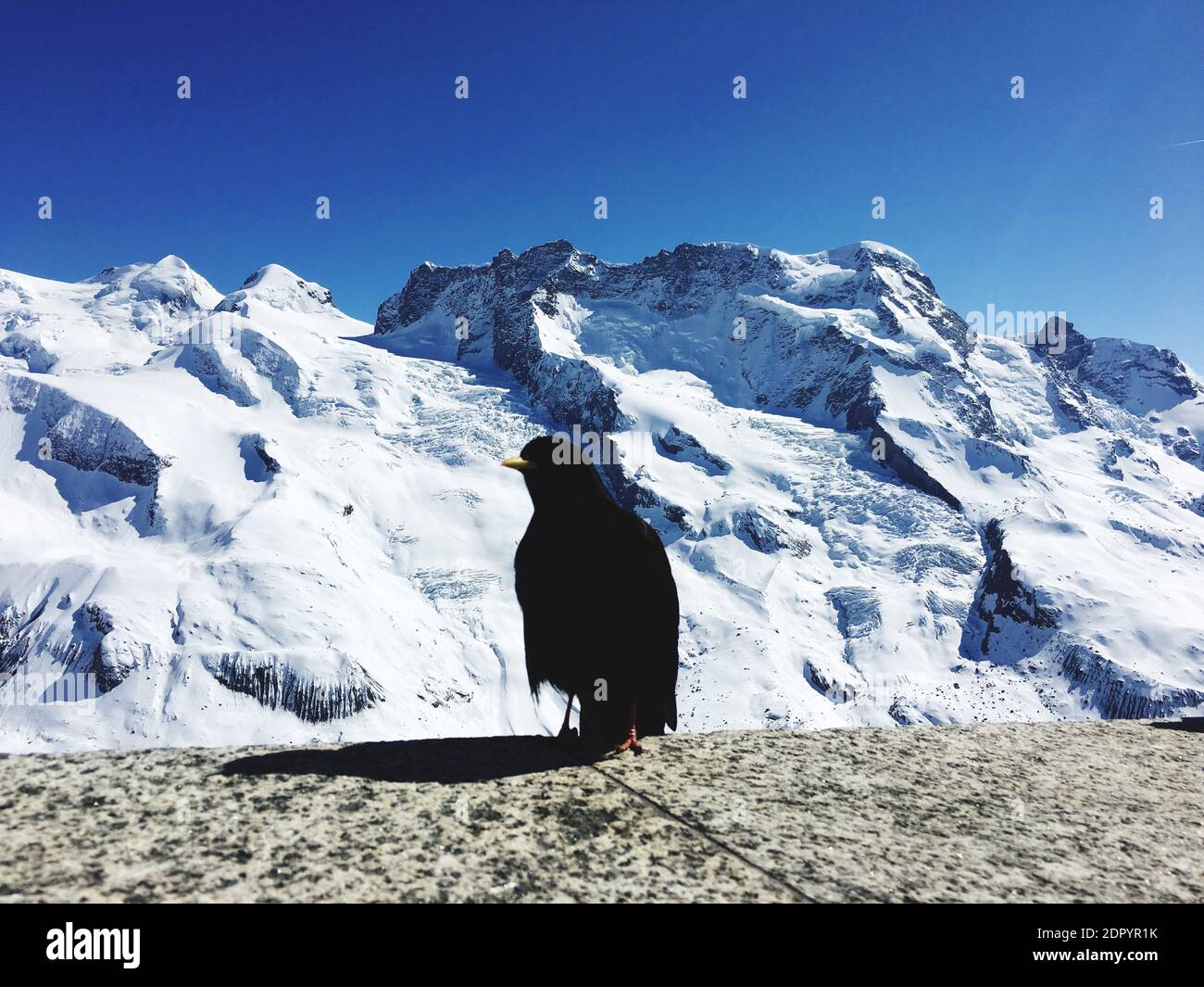 Snowcapped Mountain Against Clear Sky During Winter Stock Photo
