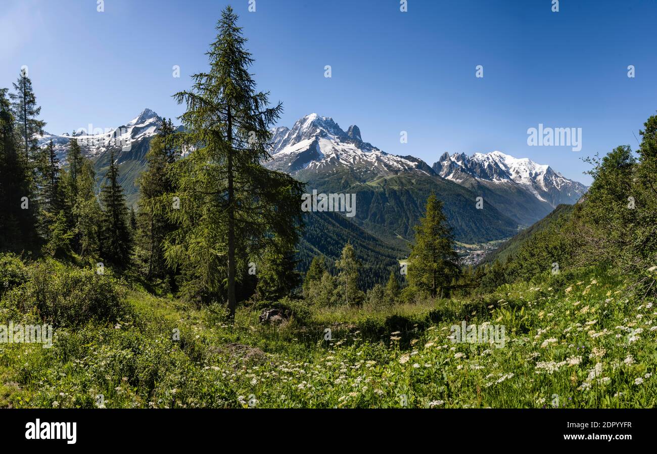 Mountain panorama from Aiguillette de Poisettes, left Aiguille de Tour, middle Aiguille Verte and right Mont Blanc, Chamonix, Haute-Savoie, France Stock Photo
