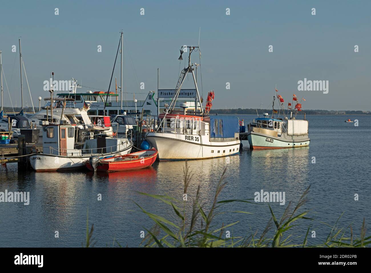 Fishery investor Rerik, fishing boats, Baltic resort Rerik, Mecklenburg-Western Pomerania, Germany Stock Photo