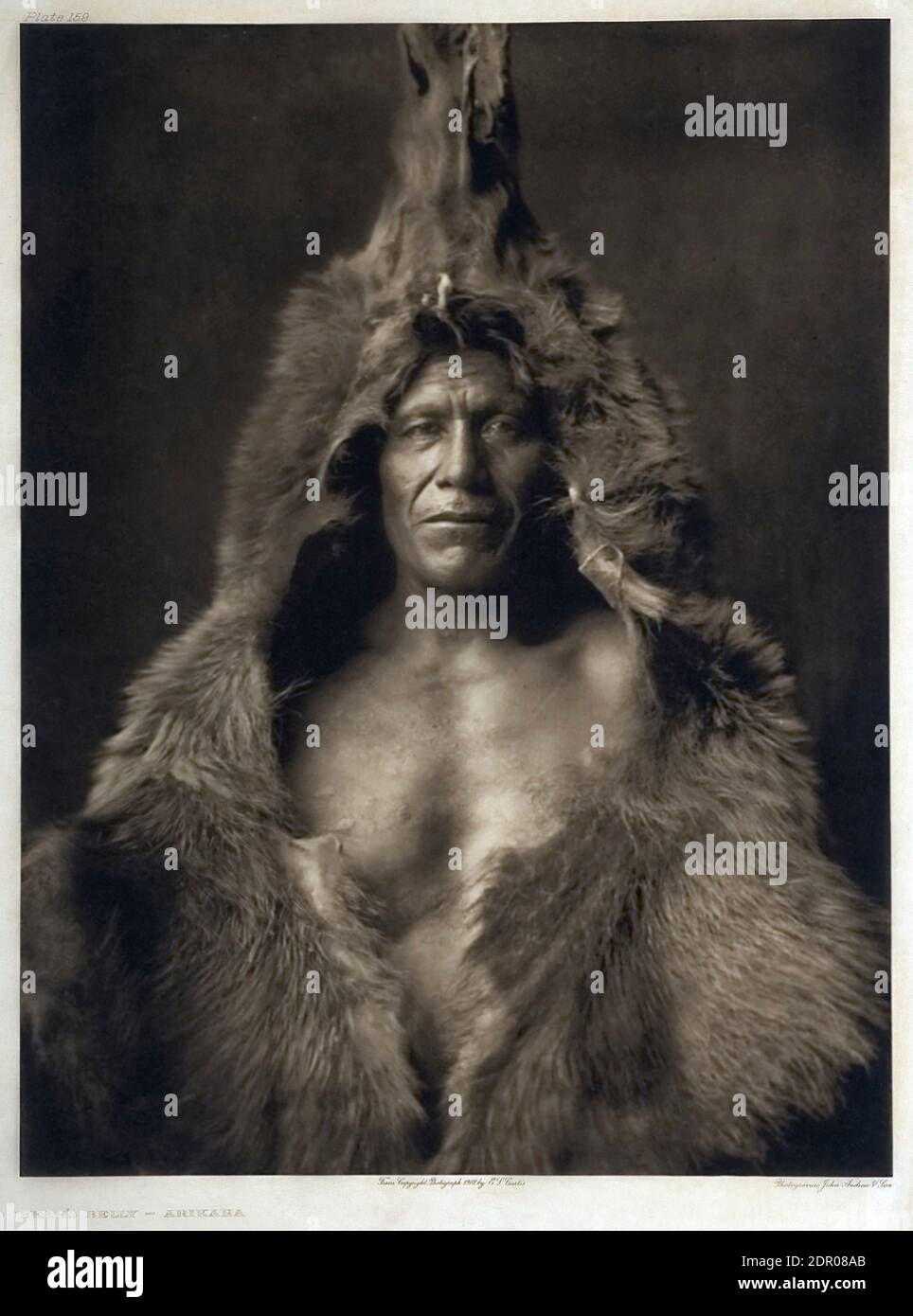the long dark bearskin coat the long dark bearskin coat